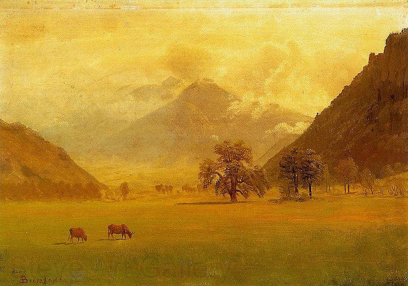 Albert Bierstadt Rhone Valley France oil painting art